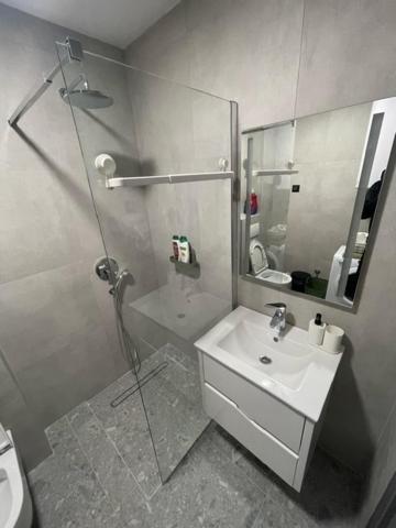 Tara Apartment Podgorica
